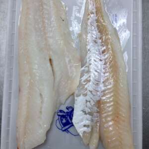 Norway Cod Fillets