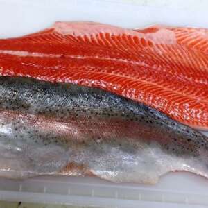 Steelhead Trout Fillets