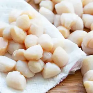 60-80 Bay Scallops Frozen