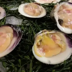 Topnecks on The Half Shell 200 ct. Case