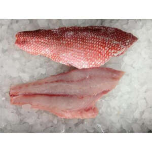Red Snapper Fillets