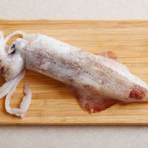 RI Fresh Whole Squid (Uncleaned)