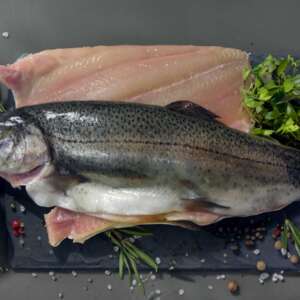 Rainbow Trout 8-10 oz
