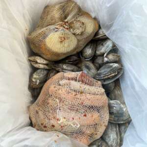 Cotton Clamboil Bags