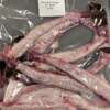 Monk Bones used for Fish Stock
