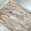 scrod-cod